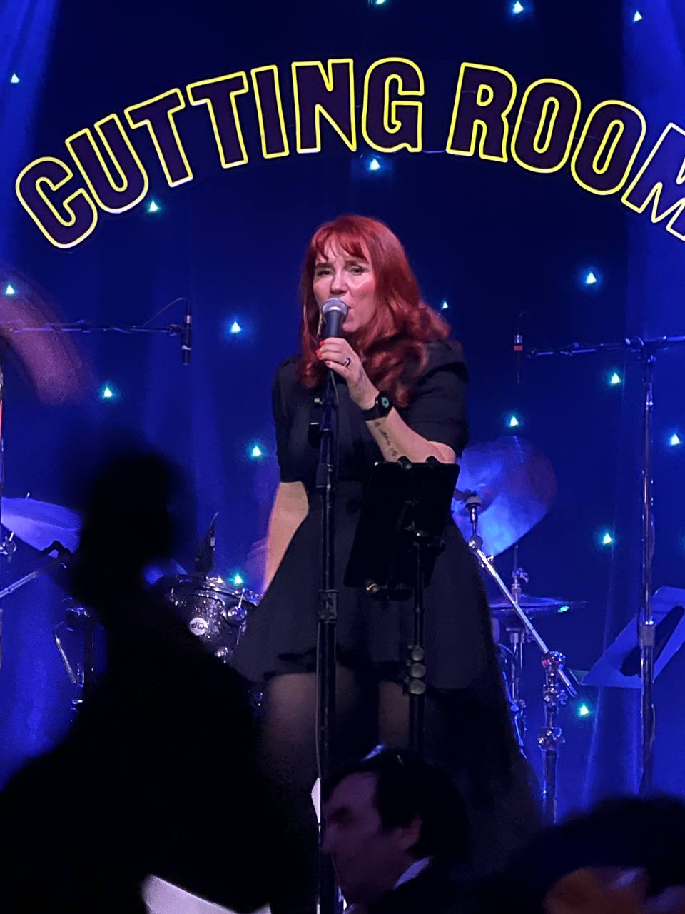 Virginie Marine performing live